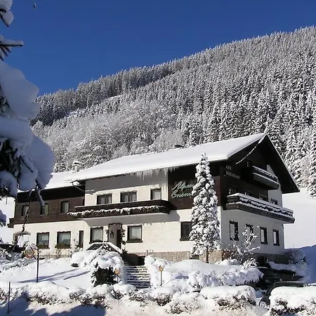 Alpenhotel Ensmann Hotel Lassing (Mostviertel)
