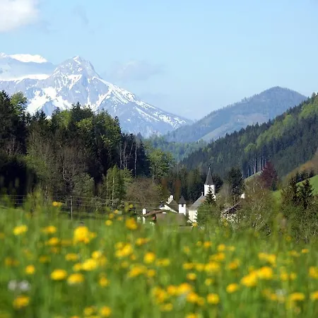 Alpenhotel Ensmann 4* Lassing (Mostviertel)