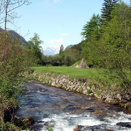 فندق Alpenhotel Ensmann