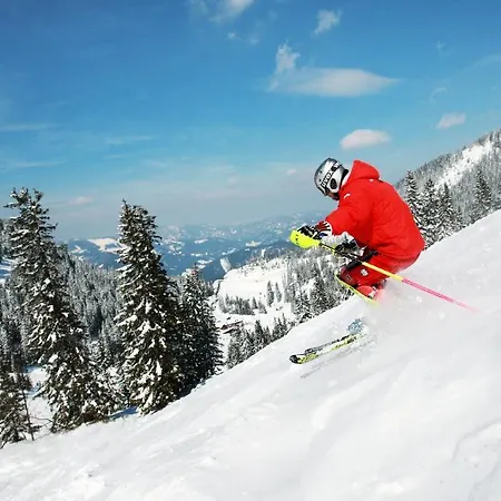 Alpenhotel Ensmann فندق 4*