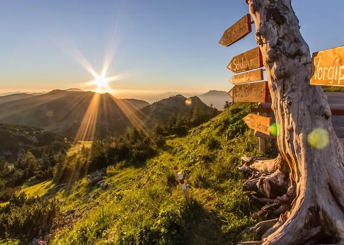 Hotel Alpenhotel Ensmann 4*