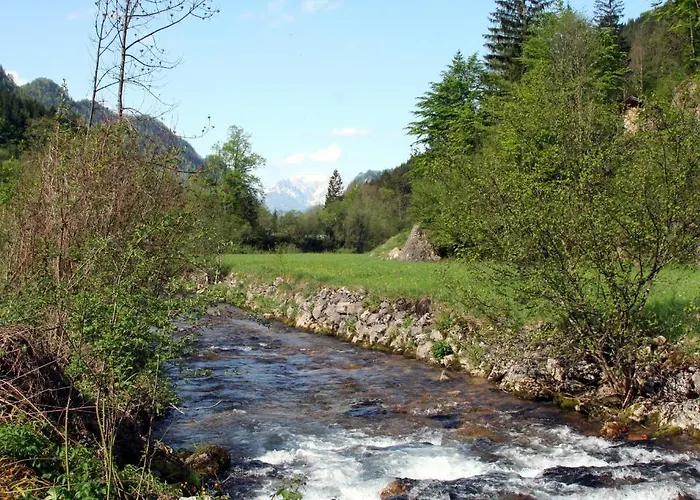 Hotel Alpenhotel Ensmann