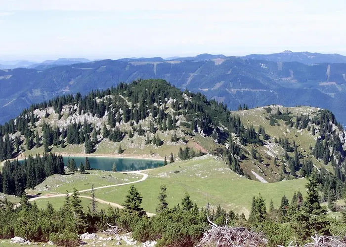 Alpenhotel Ensmann Hotel