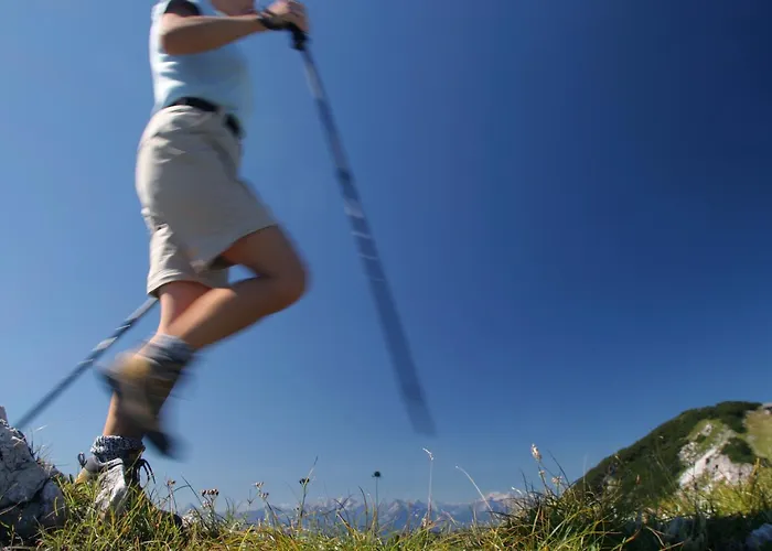 Alpenhotel Ensmann Lassing (Mostviertel)