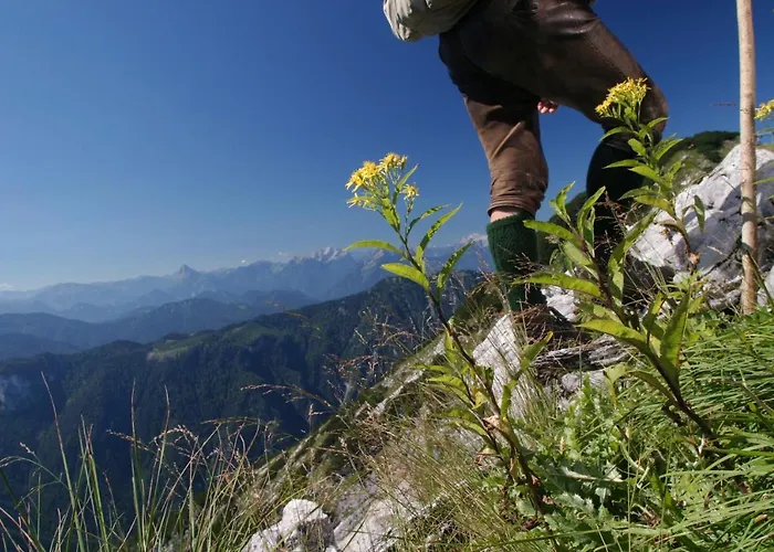 Alpenhotel Ensmann Hotel Lassing (Mostviertel)